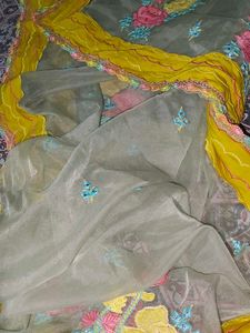 Embroidered Organza Dupatta with Rich Border