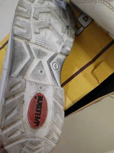Kids White School Shoes