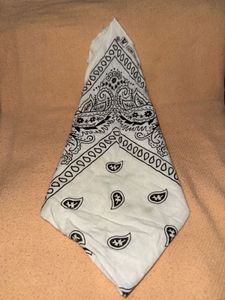 Bangkok Cotton Classic Paisley Bandana (Set of 2)