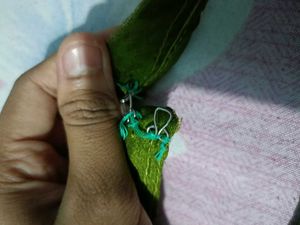 Beautiful Green Embroidered Gown
