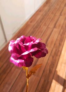 24k Golden Rose