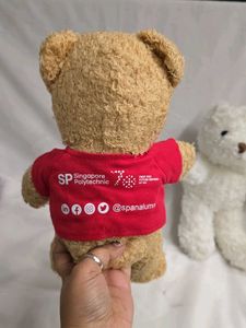 Cute Teddy Bear Trio