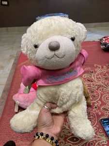 Cute Stuffed Teddy Bear