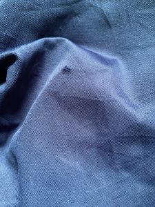 Navy Blue Sheer Overlay Kurta