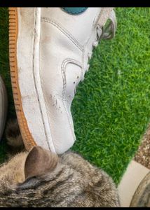 Nike Air Force 1 Sneakers