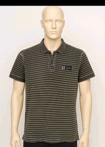 TURTLE T-shirt Chocolate Brown