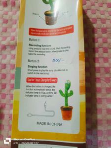 Dancing Cactus Toy
