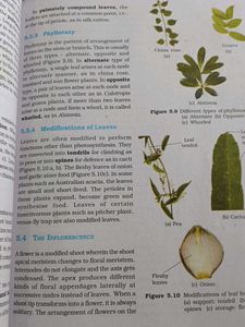 Class XI - Physics, Chemistry, Biology &amp;Math