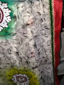 Elegant Embellished Saree