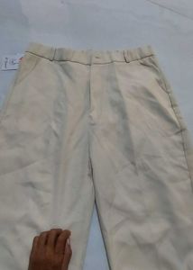 Classic Beige Casual Pants