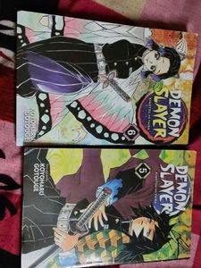 Demon Slayer Manga Set