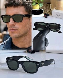 Ray-Ban Black Wayfarer Sunglasses