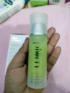 Plum Green Tea Concentrate
