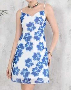 Floral Print Sleeveless Dress