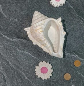 Seashell Ceramic Decorative Bowl/ holder