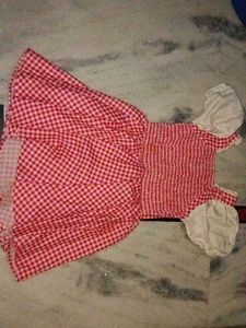 Cute Red Gingham Dress