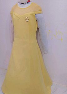 Elegant light Yellow  Gown