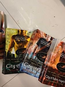 The Mortal Instruments Series by Cassandra Clare