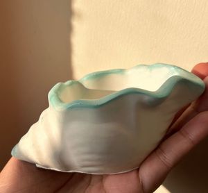 Ceramic Seashell - Ocean Collection 🐬
