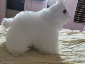 Rabbit Teddy Bear
