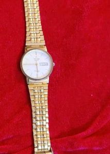 Elegant Gold Titan Watch