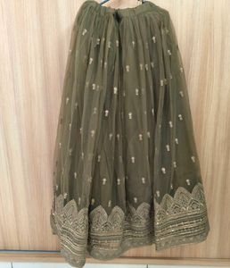 Stunning Olive Green Lehenga Choli set
