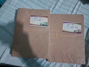 R.D sharma 2 Math book
