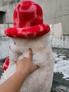 Cute Teddy Bear