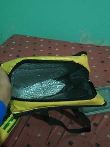 Blinkit cold Bag