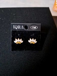 8 Pairs of earnings