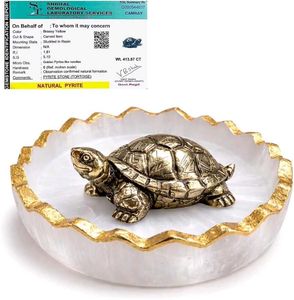 Good Luck Feng Shui Tortoise Turtle