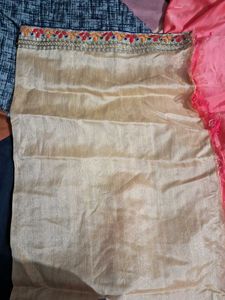 Coral Saree with golden blouse piece