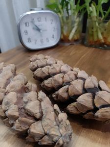 Pinecone Flower From Tibet Set Of 2