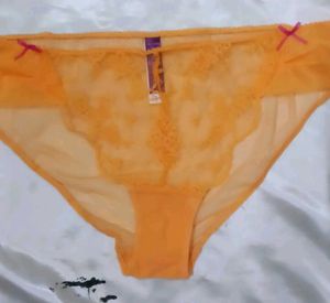 Sheer Lace panty