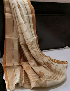 Gold Zari Embroidered Tussar Silk Saree