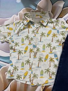 Classic Blue Denim Jeans &amp; Beach Green Shirt
