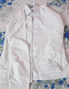 T- Shirt