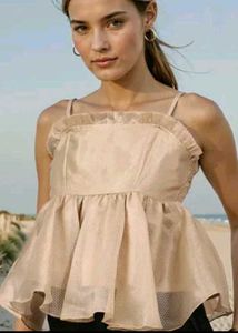 Elegant flare cute top 🩷