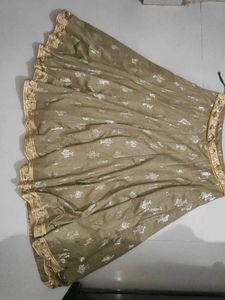 Beautifully Embroidered Ethnic Skirt