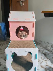 cat house