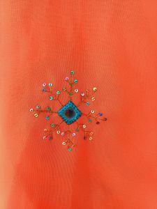 Orange Saree(Women)