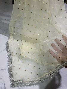 Embellished Net Dupatta
