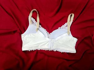 🇳🇿💫🎀Elegant Lace Bra with Bow Detail