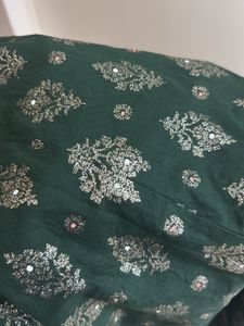 Elegant Green Embellished Kurta Suit🐢