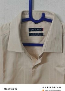 FINE Cotton Excalibur Striped Shirt XL 42