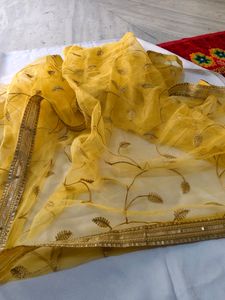 VERY Beautiful Net Dupatta