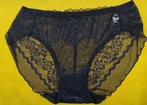 2012 -- Transparent Lace Trim pan