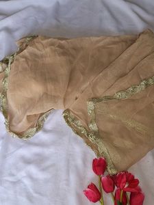 Elegant Golden y2k Saree