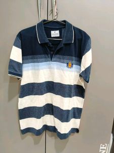 Cobb Striped Polo T-Shirt