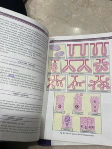 Histology Textbook